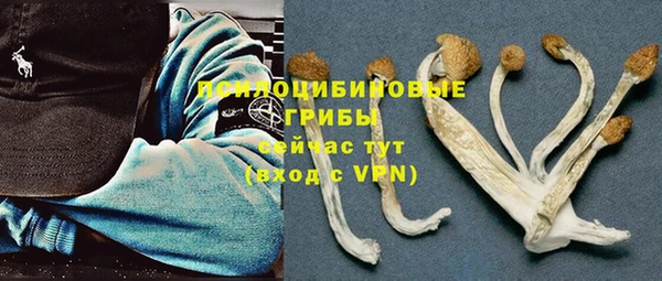 MESCALINE Баксан