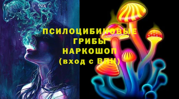 шишки Пестово