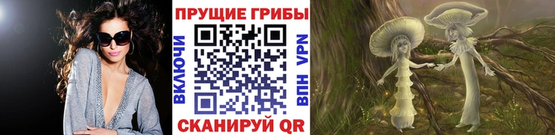 где найти   Реутов  Псилоцибиновые грибы мухоморы 